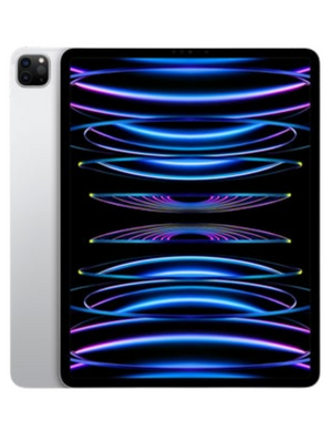 (TEST) iPad Pro 11" (5th Generation) Repair