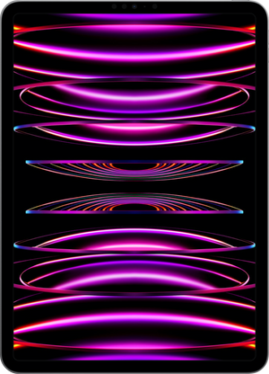 iPad Pro 11” (4th Gen) Glass and LCD Repair